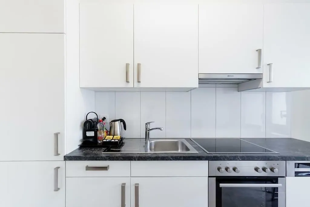Appartment Drahtzugstrasse Basilea 0*,